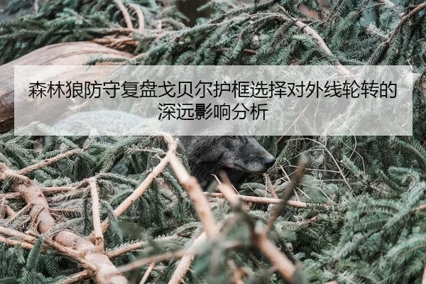 森林狼防守复盘戈贝尔护框选择对外线轮转的深远影响分析