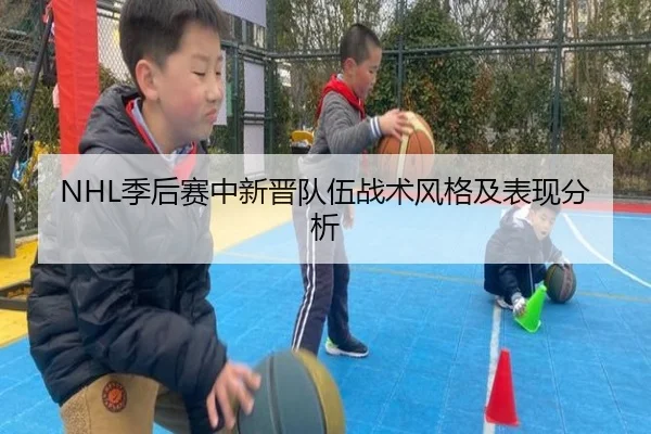 NHL季后赛中新晋队伍战术风格及表现分析