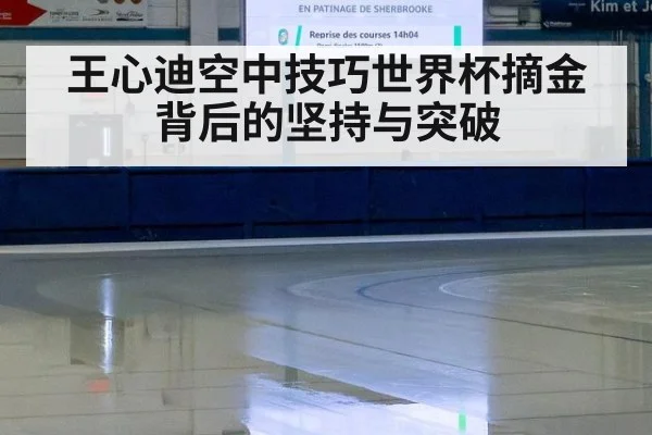 王心迪空中技巧世界杯摘金背后的坚持与突破