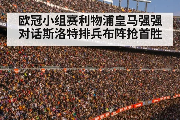 football stadium crowd